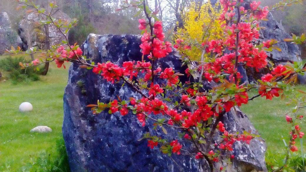 Сватбена церемония