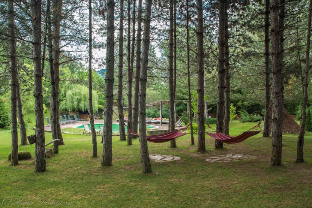 Събития в Омая