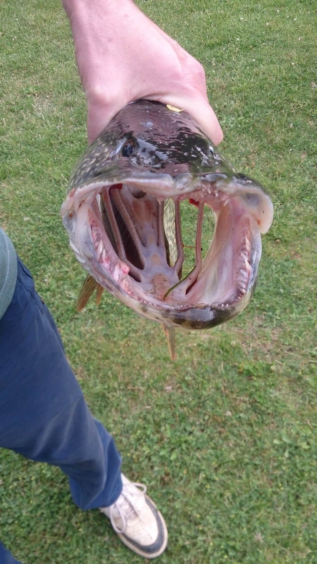 История и археология