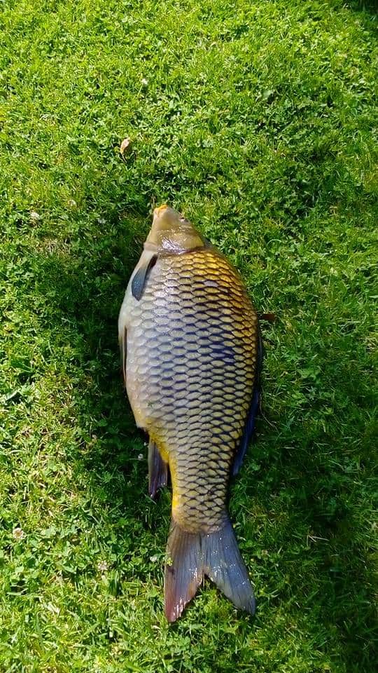 Гора край езерото